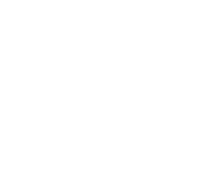 enfoque gestor interino