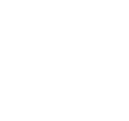 rapidez gestor interino